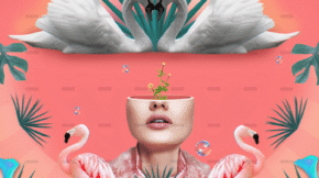 demo-attachment-2638-6